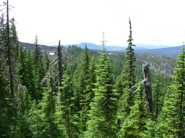 Summer '06 Sunriver 516 